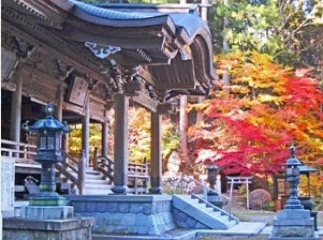 【紅葉・見ごろ】仲仙寺_1