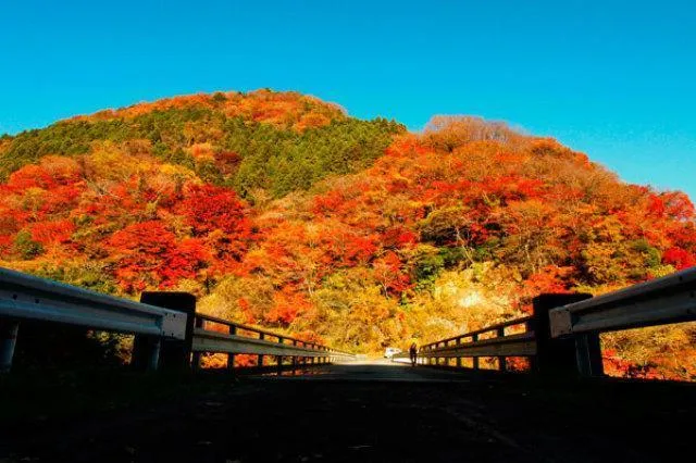 【紅葉・見ごろ】龍神峡_1