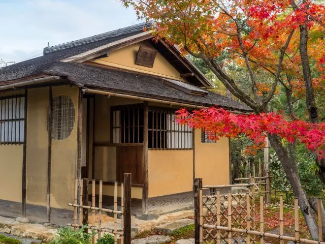【紅葉・見ごろ】有楽苑_1