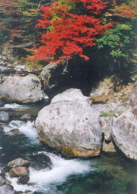 【紅葉・見ごろ】尾前渓谷_1