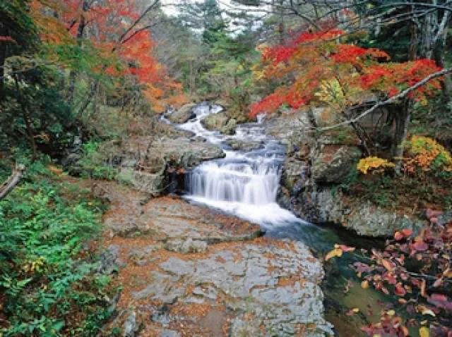【紅葉・見ごろ】小黒滝_1