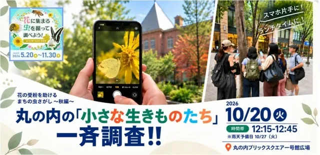 ランチタイム　丸の内の「小さな生きものたち」一斉調査！！ 花の受粉を助けるまちの虫さがし ～秋編～_1