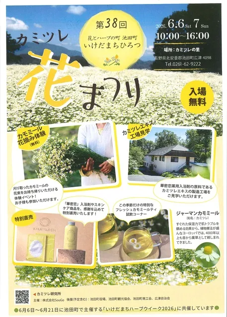 第38回いけだまちひろつ カミツレ花まつり_1