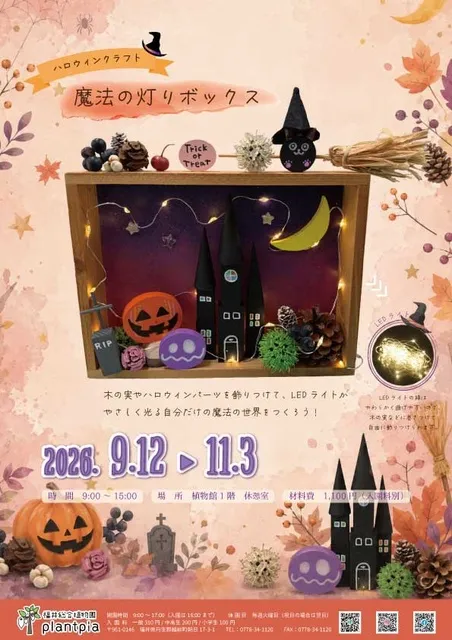 アレンジクラスト「魔法の灯りボックス」_1