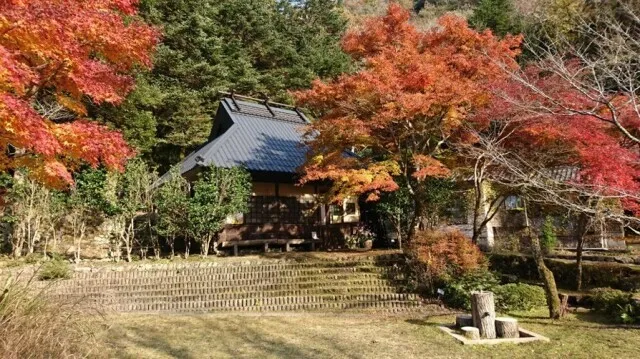 【紅葉・見ごろ】羅漢の里_1