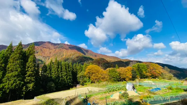 【紅葉・見ごろ】小赤沢集落_1