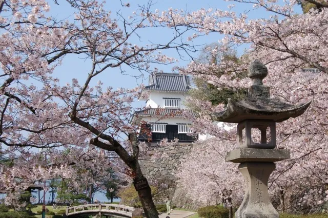 おおむら花まつり_1