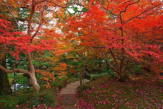 【紅葉・見ごろ】西田家庭園「玉泉園」_1