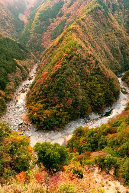 【紅葉・見ごろ】祖谷渓_1