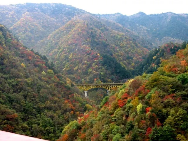 【紅葉・見ごろ】秩父市大滝・滝川渓谷_1