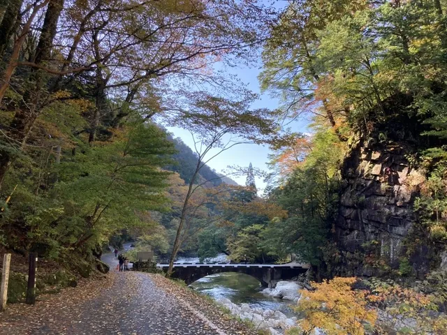 【紅葉・見ごろ】面河渓_1