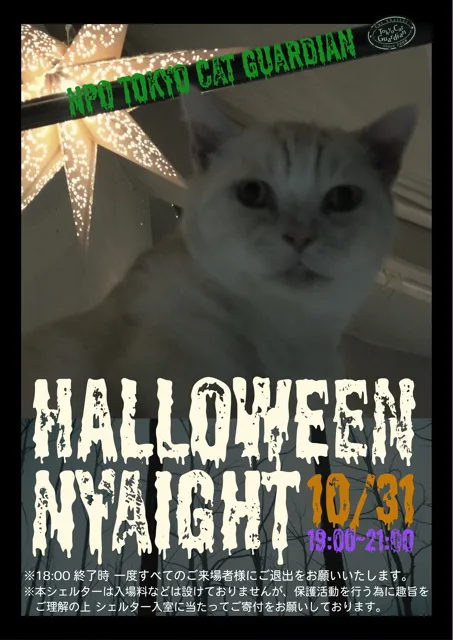 東京キャットガーディアン「ハロウィンニャイト」_1