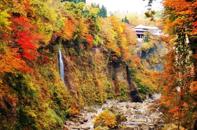 【紅葉・見ごろ】小安峡_1