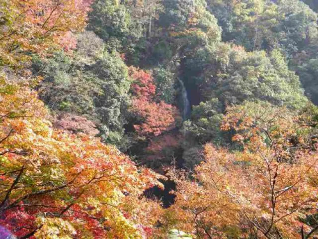 【紅葉・見ごろ】白滝公園_1