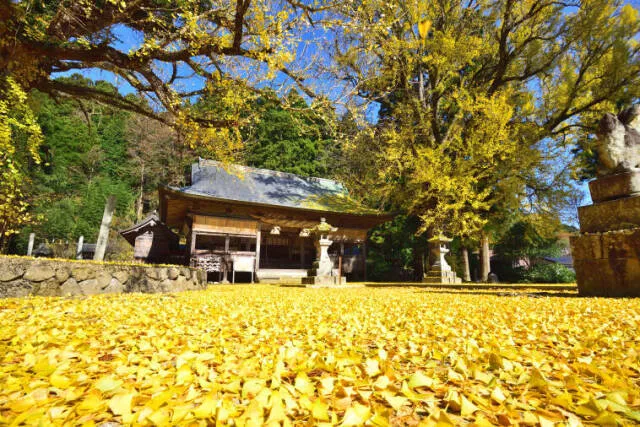 【紅葉・見ごろ】福田神社_1
