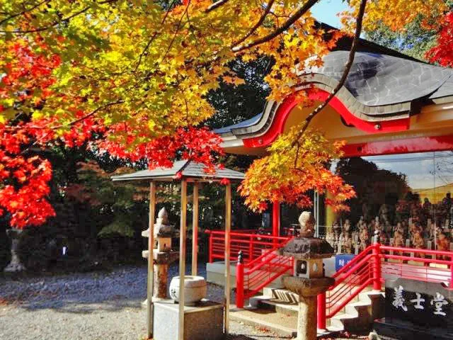 【紅葉・見ごろ】鳳源寺_1