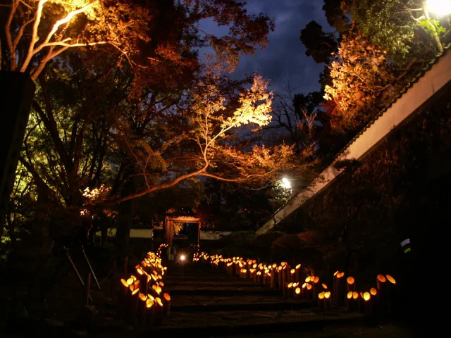 普現寺もみじライトアップ_1