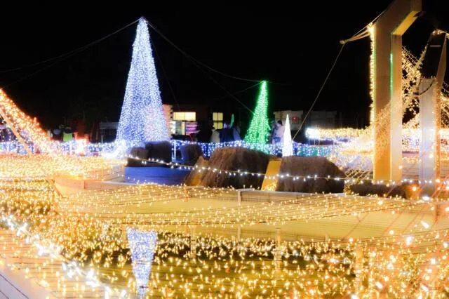 クリスマスファンタジーナイト2025in霧島ケ丘公園_1