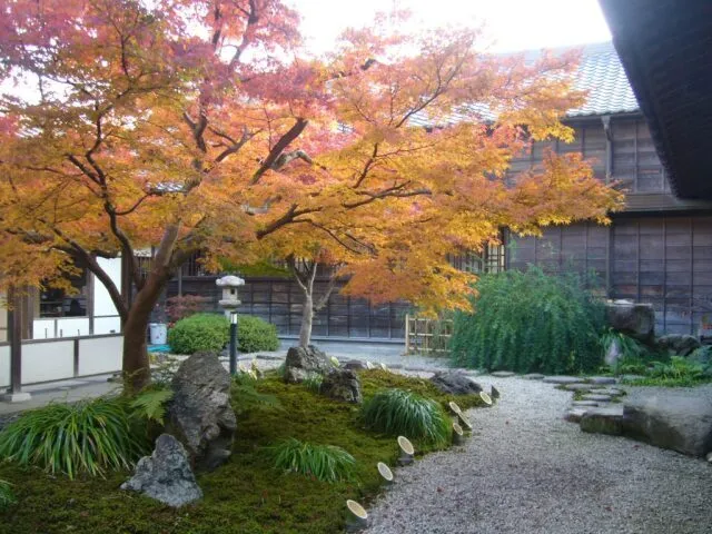 【紅葉・見ごろ】長府毛利邸_1