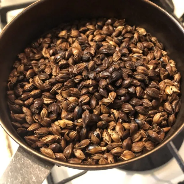 麦茶を育てるはじまりの日_1