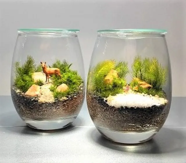インテリアに映える 苔玉テラリウムつくり_1