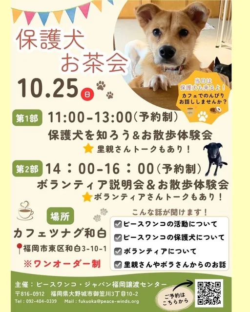 保護犬お茶会_1