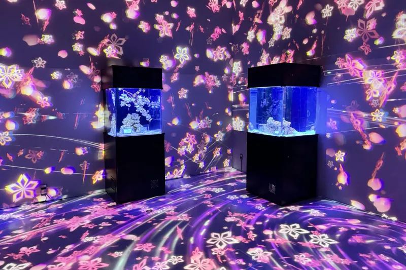 SAKURA AQUARIUM by NAKED