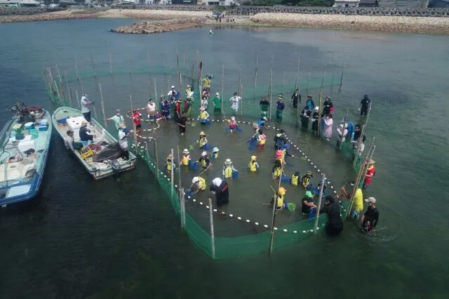 西日本唯一のすだて遊び体験_1