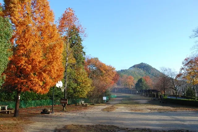 【紅葉・見ごろ】みのかも健康の森_1