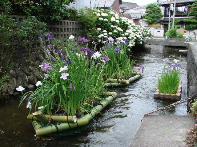 城下川「花筏」_1