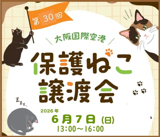 第30回 大阪国際空港 保護ねこ譲渡会_1