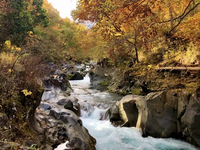 【紅葉・見ごろ】憾満ケ淵_1