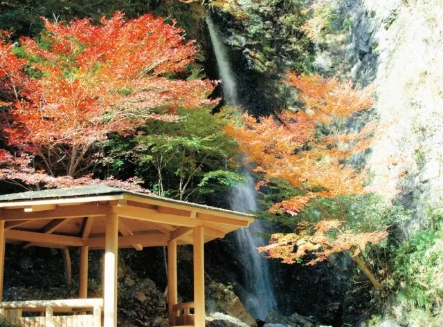 【紅葉・見ごろ】金剛の滝・龍頭の滝_1