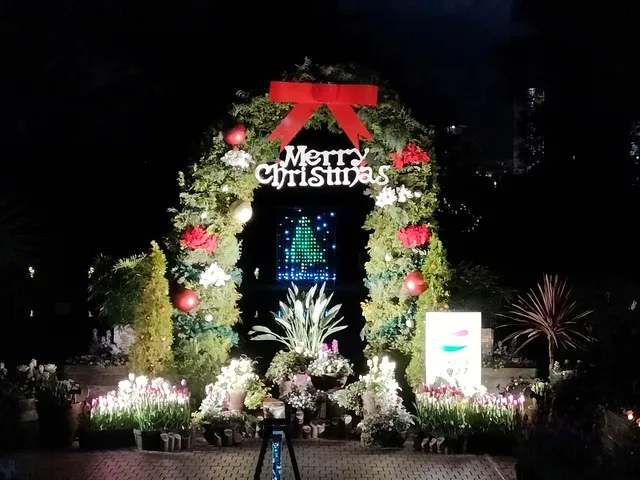 日比谷花壇大船フラワーセンター　クリスマスライトアップ_1
