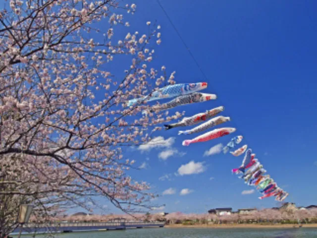 袋公園桜まつり_1