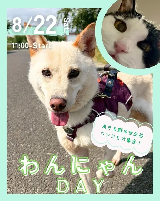 わんにゃんDAY_1