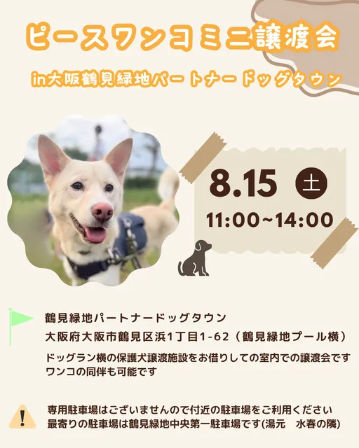 ミニ譲渡会in大阪鶴見緑地パートナードッグタウン（8月）_1