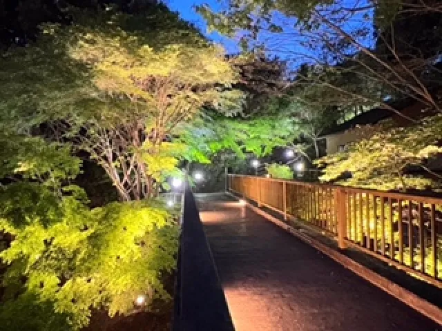 出会い橋ライトアップ_1