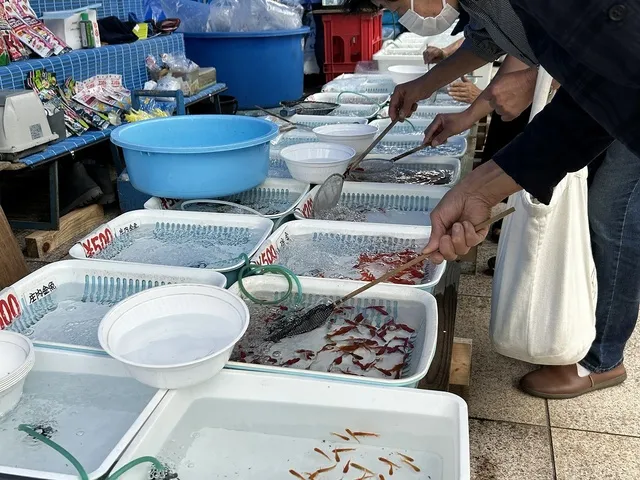 しょうない金魚まつり 2026_1
