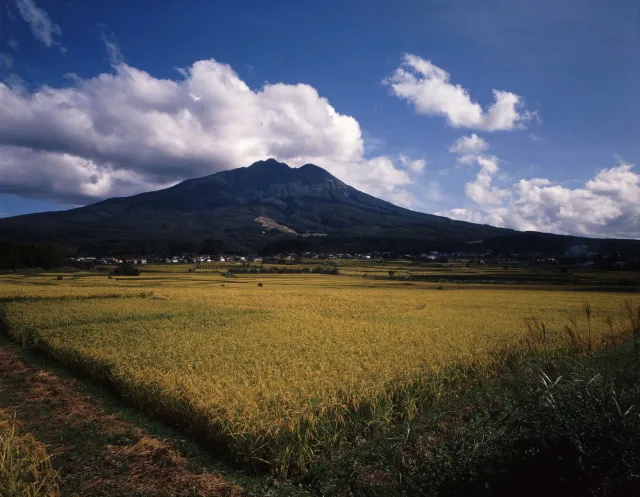 【紅葉・見ごろ】岩木山_1