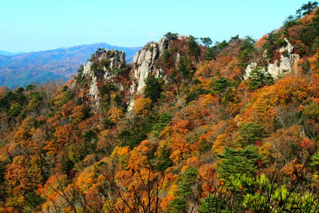 【紅葉・見ごろ】二ツ箭山_1