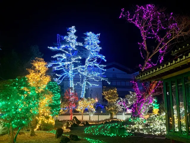 Winter Illumination 2025 in 宿毛まちのえき林邸_1