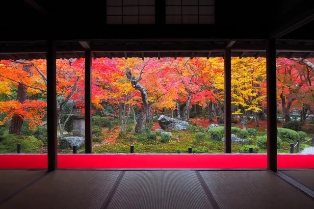 【紅葉・見ごろ】圓光寺_1