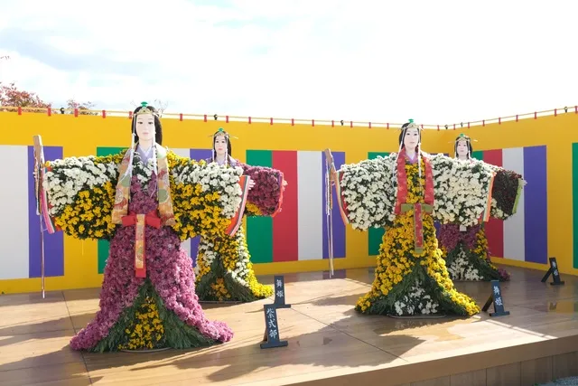 第114回南陽の菊まつり（花公園会場）_1