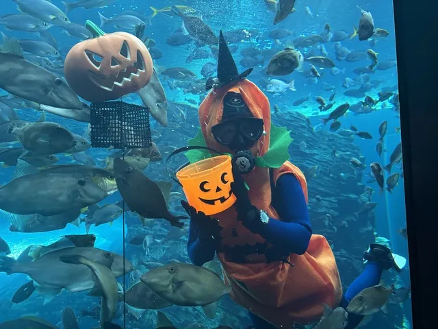 うみがたりハロウィン2026_1