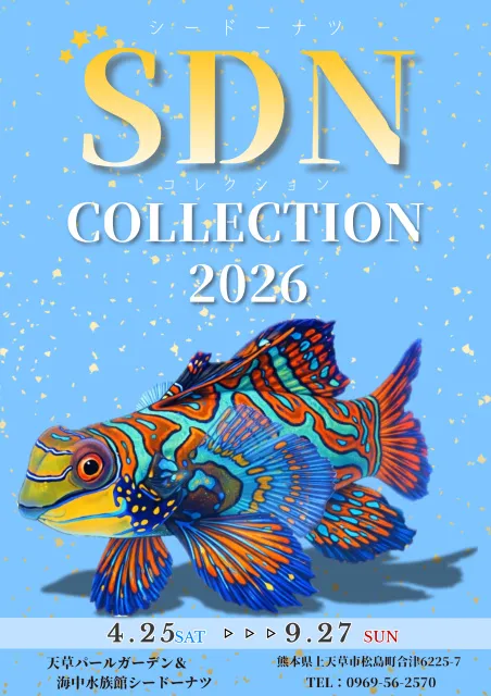 SDNコレクション2026_1
