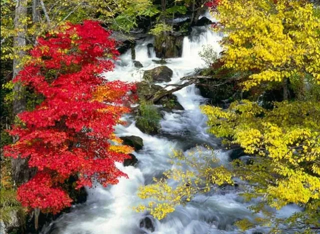 【紅葉・見ごろ】阿寒湖_1