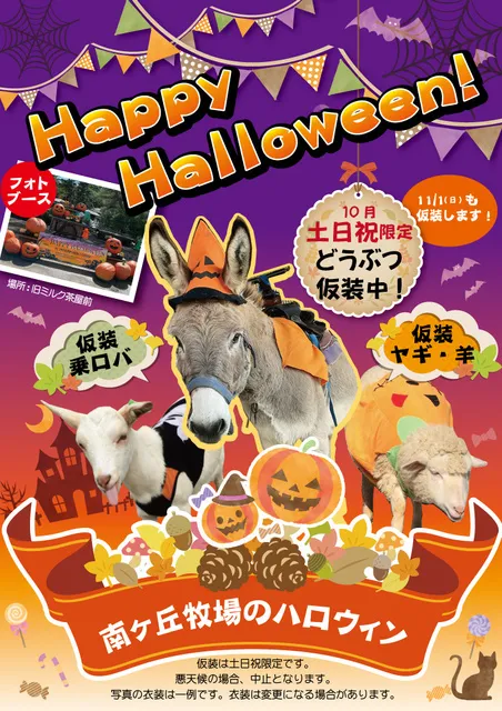 南ヶ丘牧場のハロウィン_1
