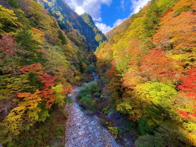 【紅葉・見ごろ】高瀬渓谷_1