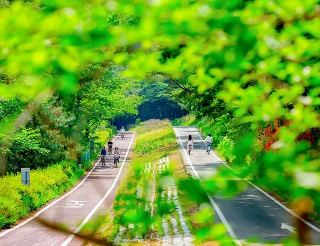 森林公園　夏の早朝開園_1